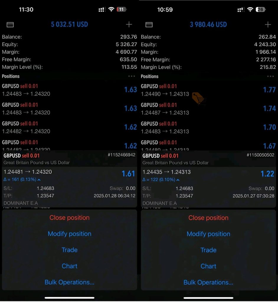 Dominant EA Review